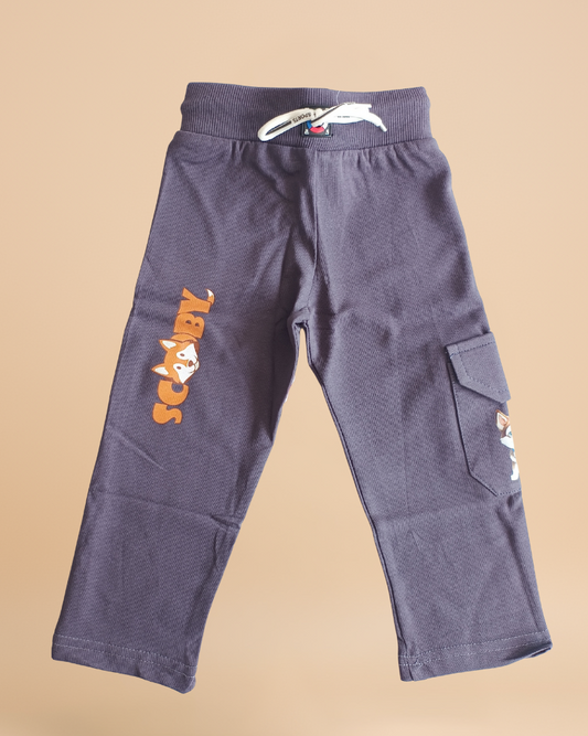 Pokemon Junior Cargo
