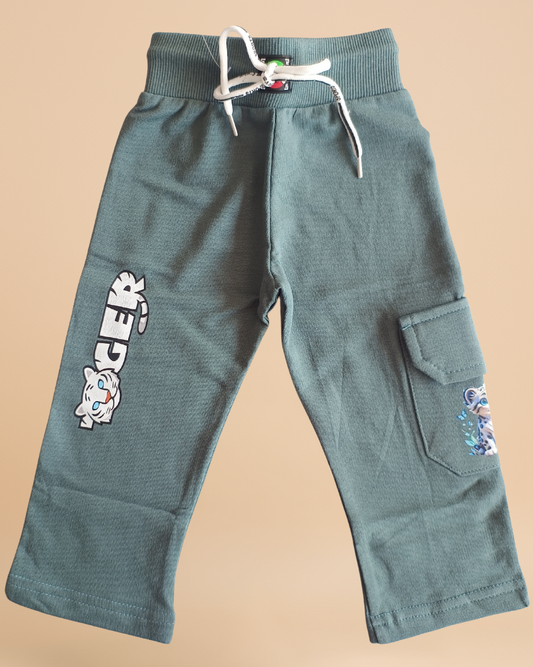 Pokemon Junior Cargo